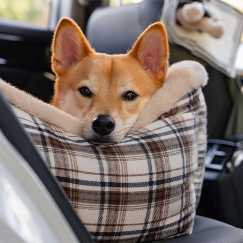 Travel Dog Bench – Comfortable and Easy to Install