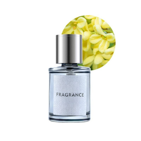 Diffuseur Aromatique Pour Voiture – Senteur Et Style