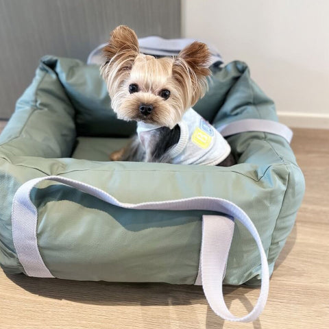 Car Cushion for Dog – Protection and Softness on the Road 