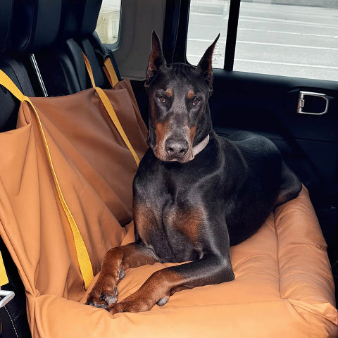 Car Cushion for Dog – Protection and Softness on the Road 
