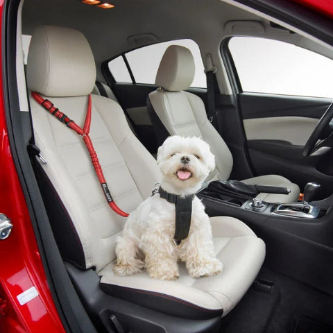 犬用調整可能なセキュリティストラップ – 車専用 