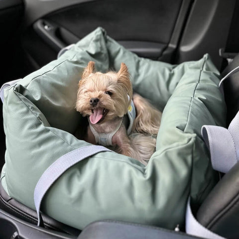 Car Cushion for Dog – Protection and Softness on the Road 