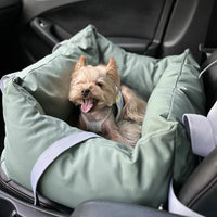 Coussin De Voiture Pour Chien – Protection Et Douceur En Route