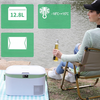 Electric Cooler For Car – Compact And Versatile 