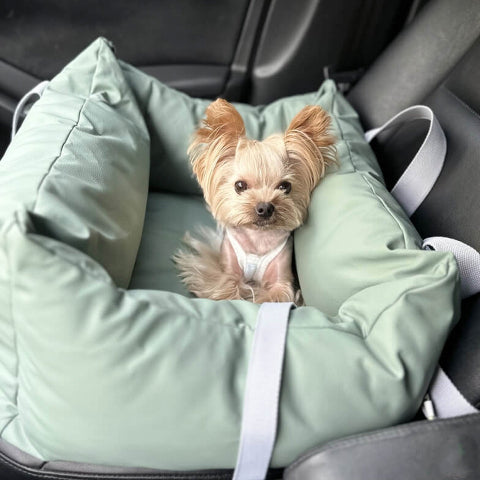 Car Cushion for Dog – Protection and Softness on the Road 