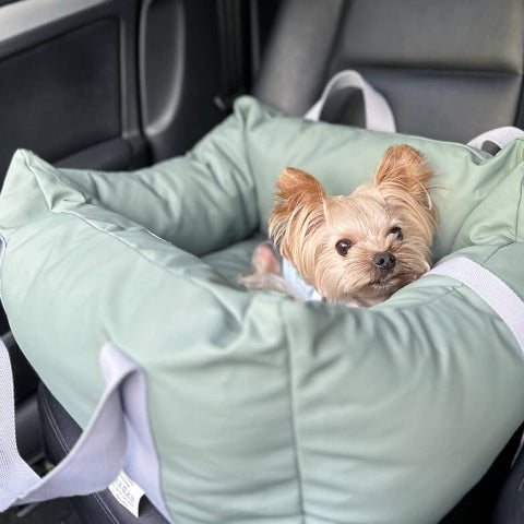 Car Cushion for Dog – Protection and Softness on the Road 